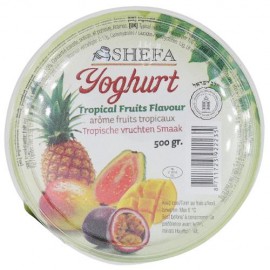 Yogurt Exotic flavor 125gr SHEFA