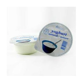 Yogurt Natural 125gr SHEFA