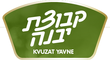 Yavne